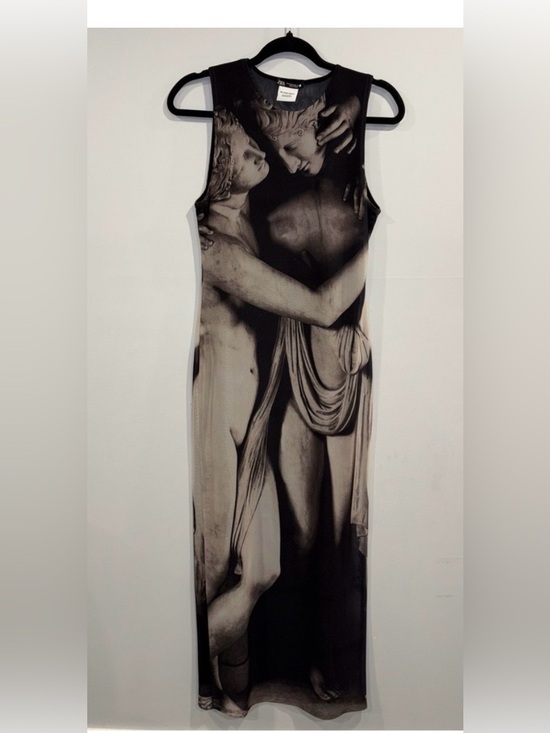 Zara Dresses & Skirts - ISO The three Graces  dress
